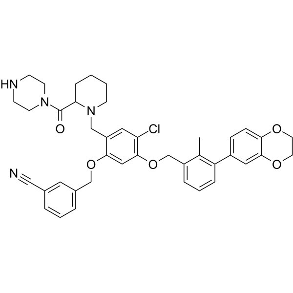 BMS-1166-N-piperydyna-CO-N-piperazyna Nr CAS: 2447066-14-8